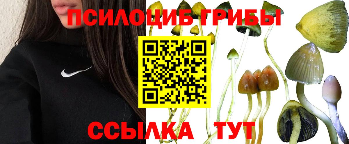 Псилоцибиновые грибы ЛСД  Галлюциногенные грибы ЛСД  Вход с VPN  Знаменск 